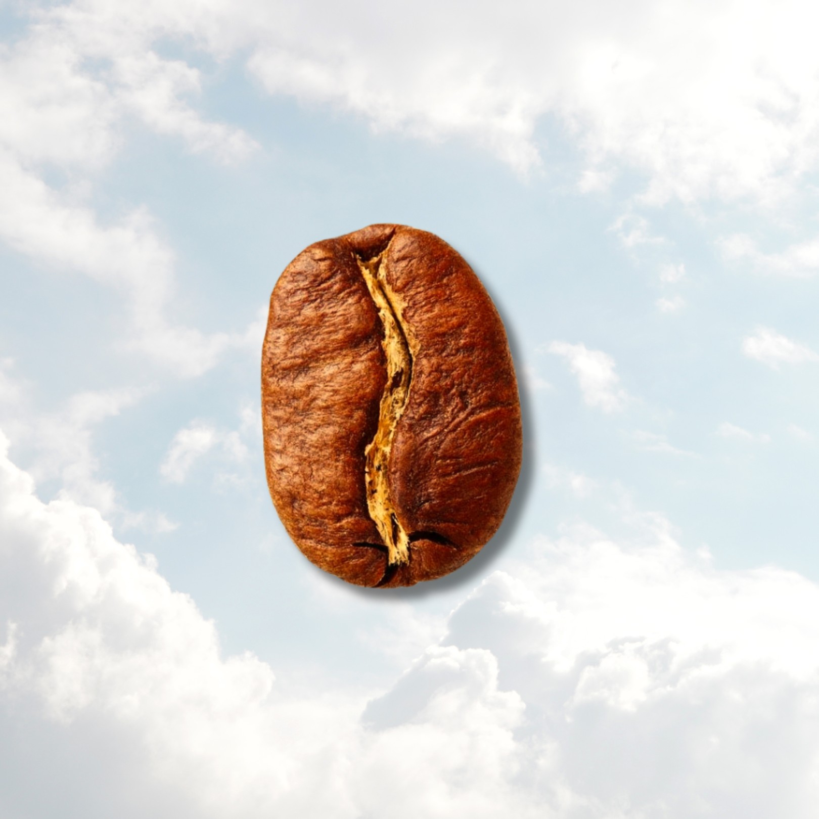 Brown Sugar, Caramel, Mild
