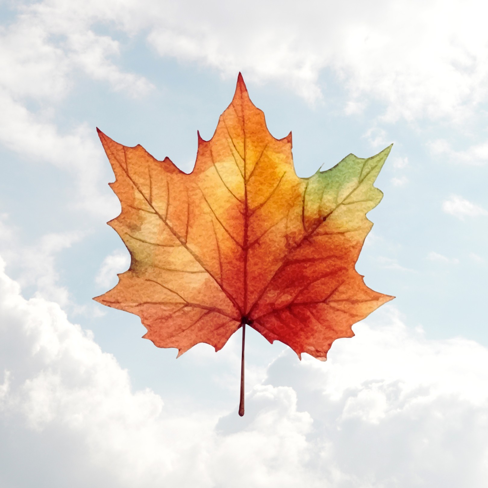 Fall